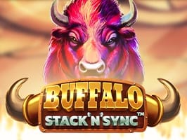 Buffalo Stack n Sync
